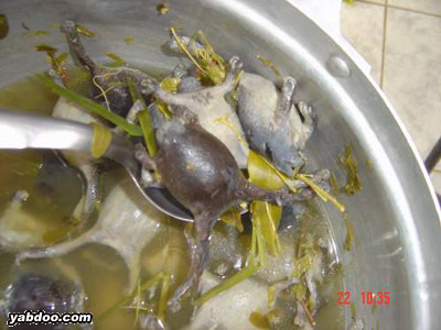 la soupe aux gronouilles..........lol